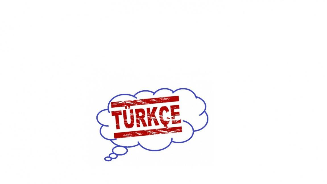 Okuma Sonrası Türkçe Dersi Çalışmaları